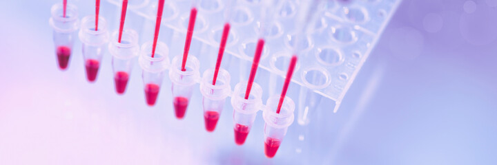 Scientific background on the topic of DNA analysis