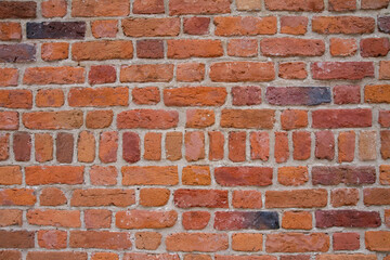 Fototapeta premium Brick wall in close up - background