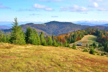 Autumn landscape in the mountains, Gorce, Poland