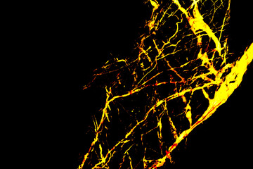 Gold marble  texture or background. abstract  gold .