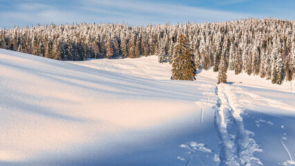 Fototapeta na wymiar trace de ski dans un paysage montagnard enneigé
