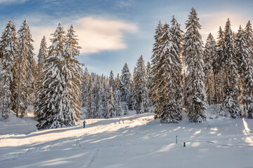 EXCURSION AU JURA EN HIVER
