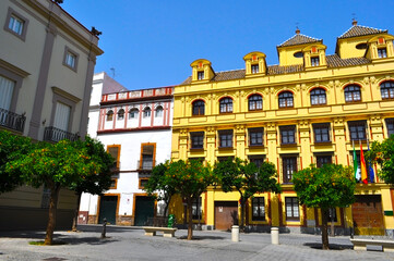 Fototapeta premium SEVILLE, SPAIN-JULY 2019: Orange Courtyard in Seville, Spain