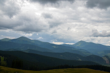 Naklejka premium Panorama view of peaks ridge, mountains covered with green forest under cloudy sky. Carpathians, Ukraine
