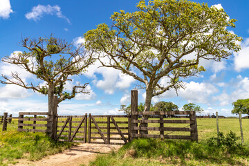 Farm wood gate with trees and iron fence