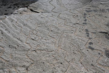 Site archéologique de Toro Muerto, Arequipa, Pérou