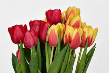 A bouquet of red and yellow tulips isolated on white