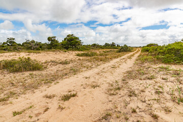 Fototapeta na wymiar Vegetation and road around a beach in Lagoa do Patos lake