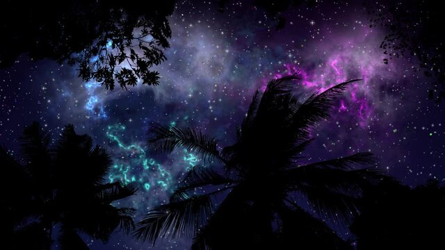 Storm Palms Under Stars Sky - Silhouettes of palm trees fluttering from the wind, against the backdrop of a night sky with a myriad of sparkling stars and a colorful nebula.