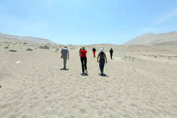 Site arch&eacute;ologique de Toro Muerto, Arequipa, P&eacute;rou