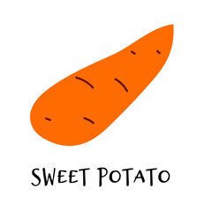 Vector illustration of sweet potato in hand drawn flat style.