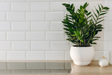 View on white kitchen in scandinavian style, kitchen details, coffee tree plant on wooden table, white ceramic brick wall background.