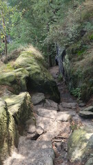 Wandern in der Sächsischen Schweiz im Wald durch Felsenlandschaft