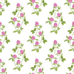 .Hand-drawn red clover on a white background  seamless pattern. Vector illustration of a melliferous flower. Floral background. Bee garden.