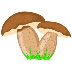 Vector drawing of a forest mushroom on a white isolated background in a flat style, cartoon. Autumn bright beautiful mushroom, cards, stickers, T-shirts.