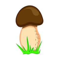 Vector drawing of a forest mushroom on a white isolated background in a flat style, cartoon. Autumn bright beautiful mushroom, cards, stickers, T-shirts.