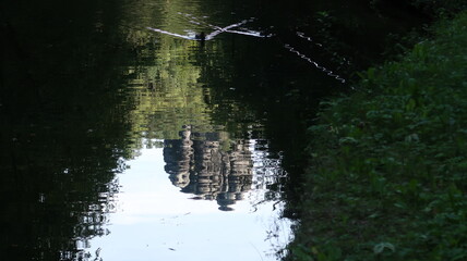 Sächsische Schweiz Wanderung im Wald