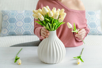 Woman putting white tulips flowers in vase sitting at the living room coffee table. Composing bouquet. Lifestyle