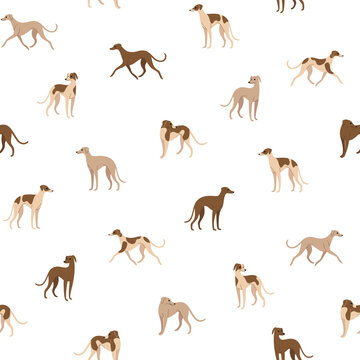 Cartoon happy whippet - simple trendy pattern with dogs. Flat vector illustration for prints, clothing, packaging and postcards. 