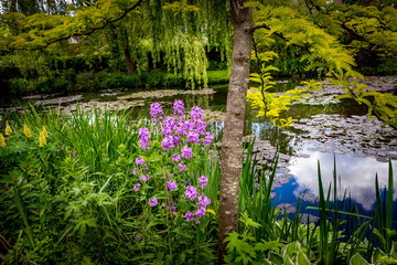 gardens of painter Claude Monet in Giverny, France