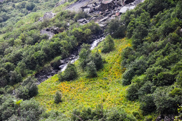Large and small rivers and waterfalls in North Ossetia against the backdrop of majestic mountains....