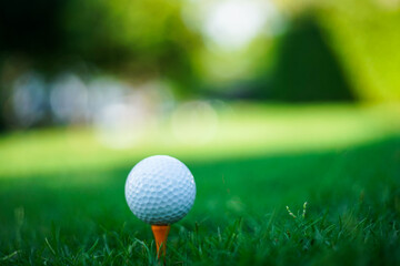 golf ball on green grass