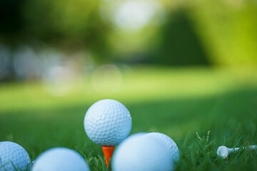golf ball on green grass