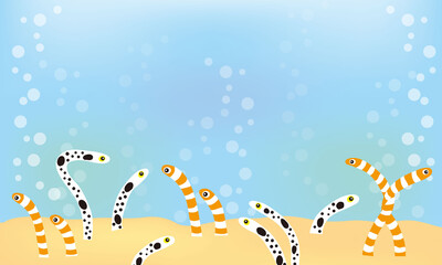 チンアナゴとニシキアナゴ横長スペースあり