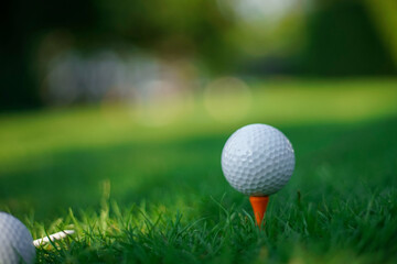 golf ball on green grass