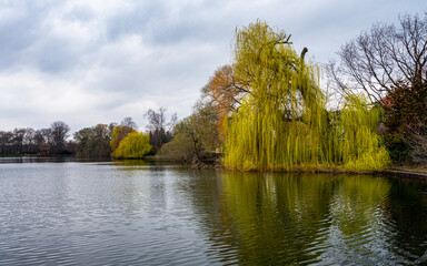 Park landscape at the Orankesee in Berlin