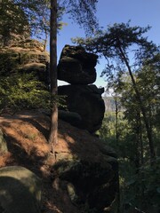 Sächsische Schweiz Wanderung im Wald