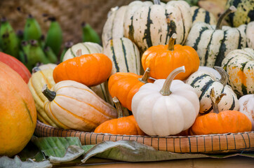 Closed up fresh pumpkin fruit after harvested from the farm