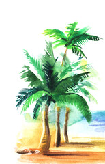 Watercolor tropical landscape. Three blurry palms with wide green leaves on sandy coast of turquoise sea against white background. Hand drawn illustration of exotic vacation. Lower right corner
