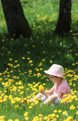 petite fille coiffée d'un chapeau en train de faire un bouquet au milieu d'un champ de pissenlit au printemps