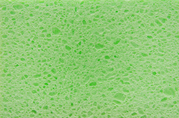 Green sponge texture background