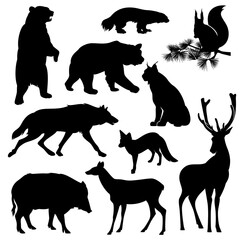 set of realistic detailed black vector silhouettes of wild animals from Eurasia and  North America