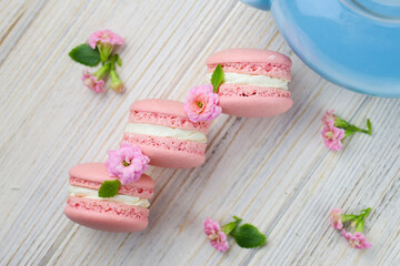 Pink macaroons with the pink flowers