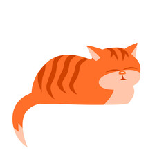 Cartoon striped ginger cat sleeping sweetly. Vector isolated illustration on white background