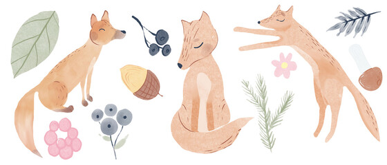 Cute foxes set. Eight awesome foxes sitting, jumping, playing, standing, smiling and sleeping.