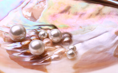 Natural pearls inside the oyster shell