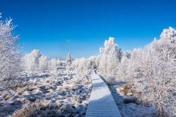 Hohes Venn im Winter