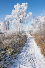 Hohes Venn im Winter