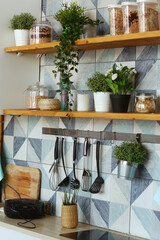 kitchen closeup fragment with pot plants, utensils, peas and beans in container