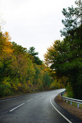Obraz premium The road through the autumn forest