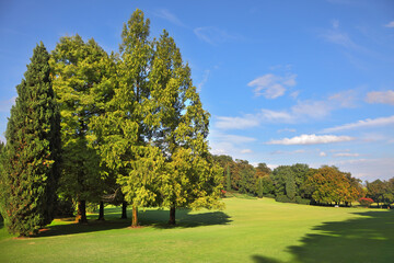 The  landscape park- garden