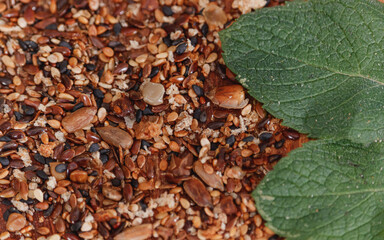 Dietary fiber. Group of whole grain food shot from above