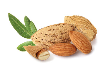 Almonds in shell and without with leaves on the white