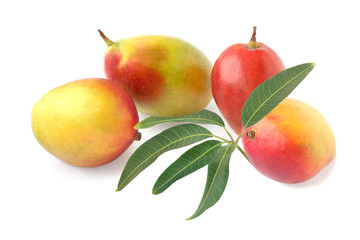 Four red - yellow mango with sprig isolated on white