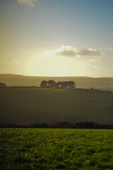 Spring sunset over the field