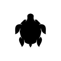Turtle vector